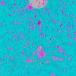 70歳の老妇セックスXXX
